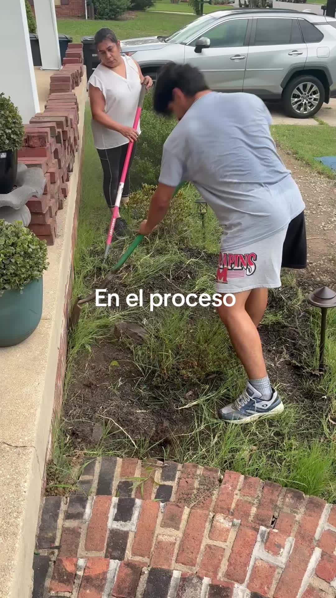 @Iris