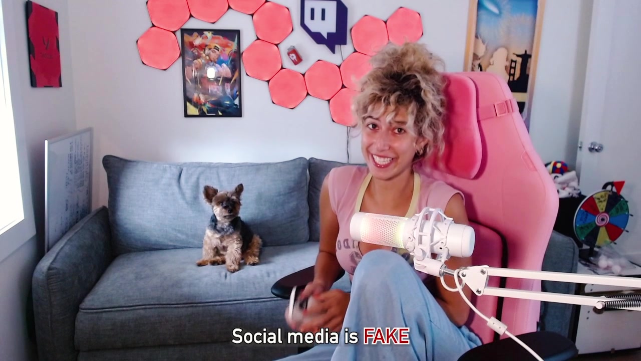 @miamouse.irl