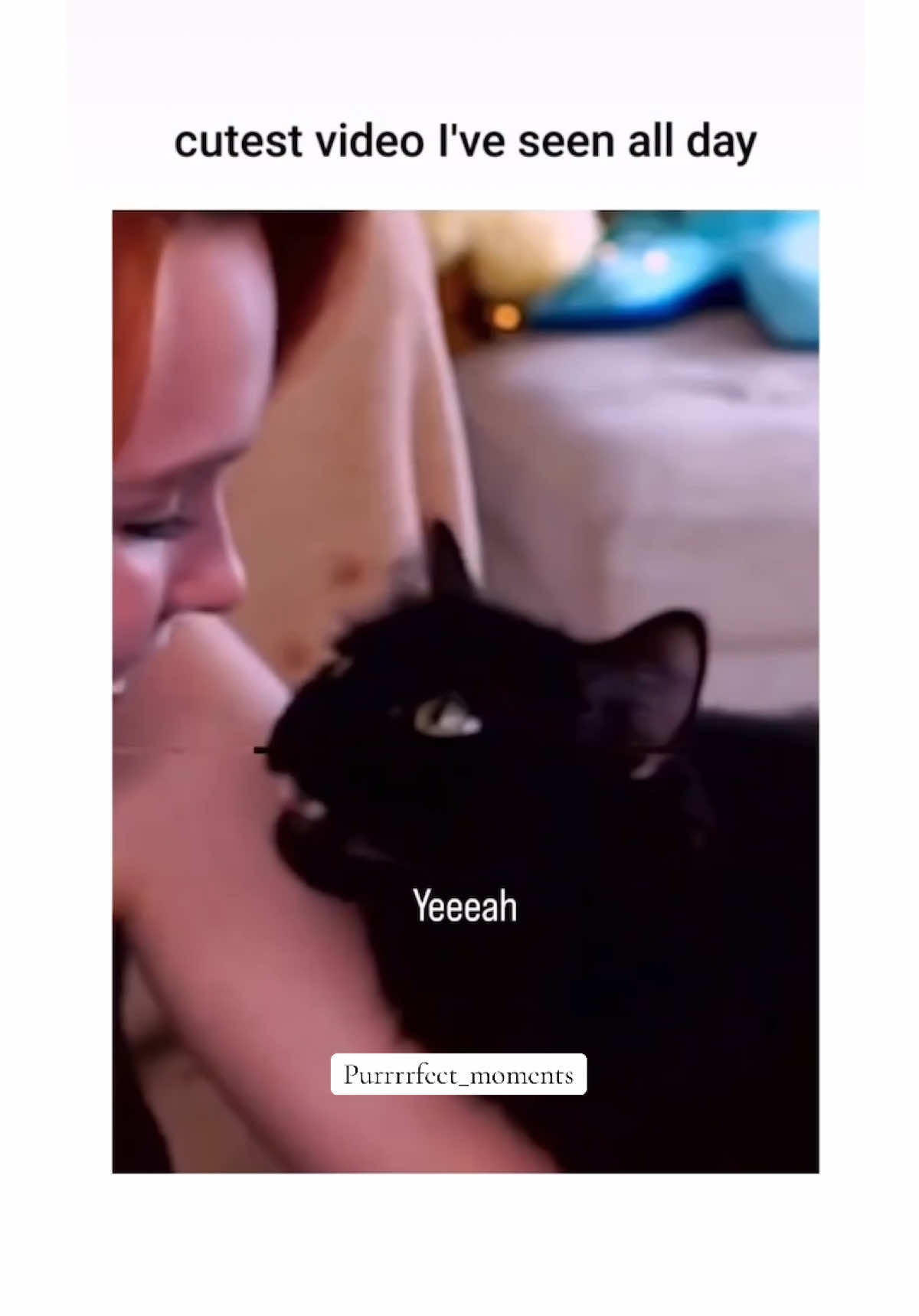 @Purrrrfect Moments
