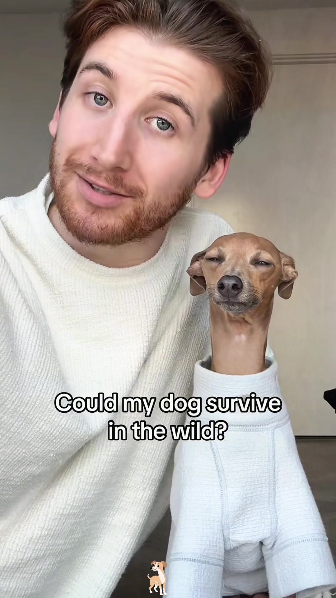 @SneakyFails