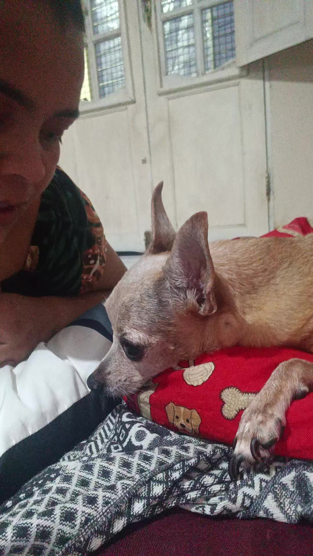 @princesa