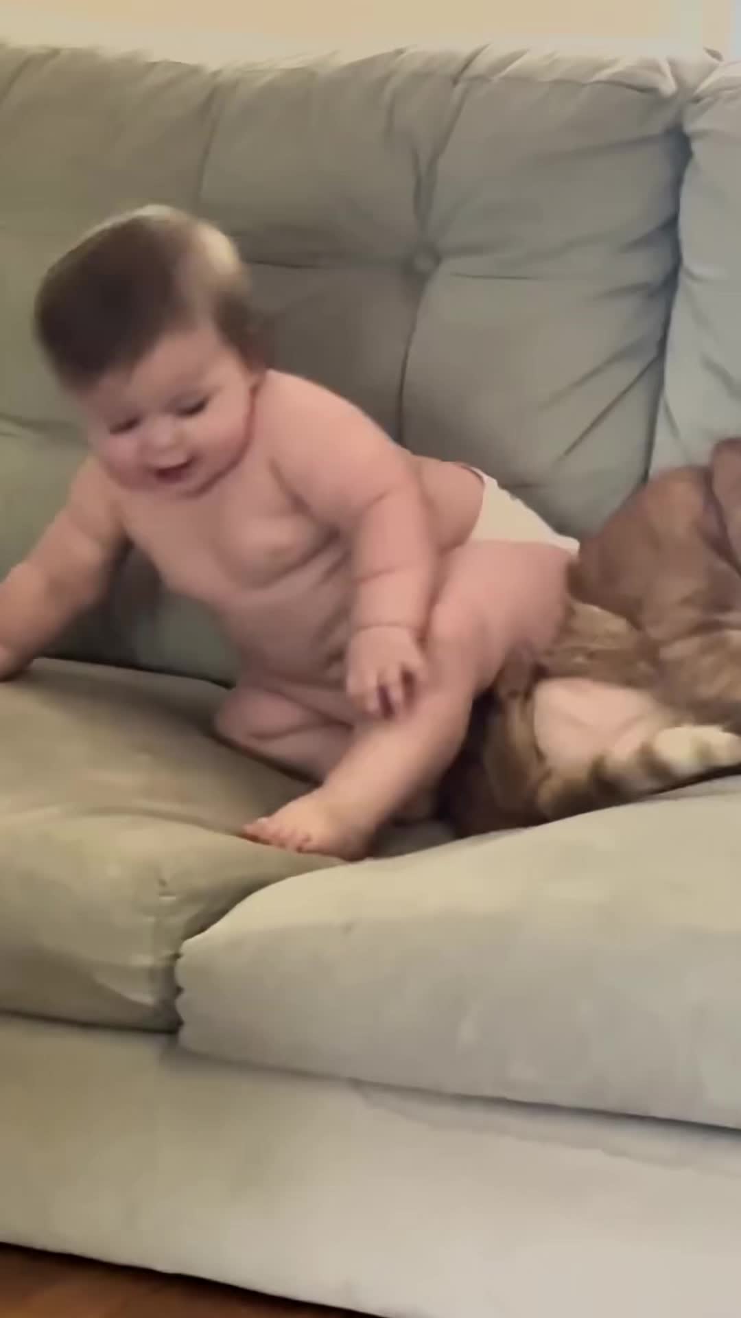 @Fluffy Fails