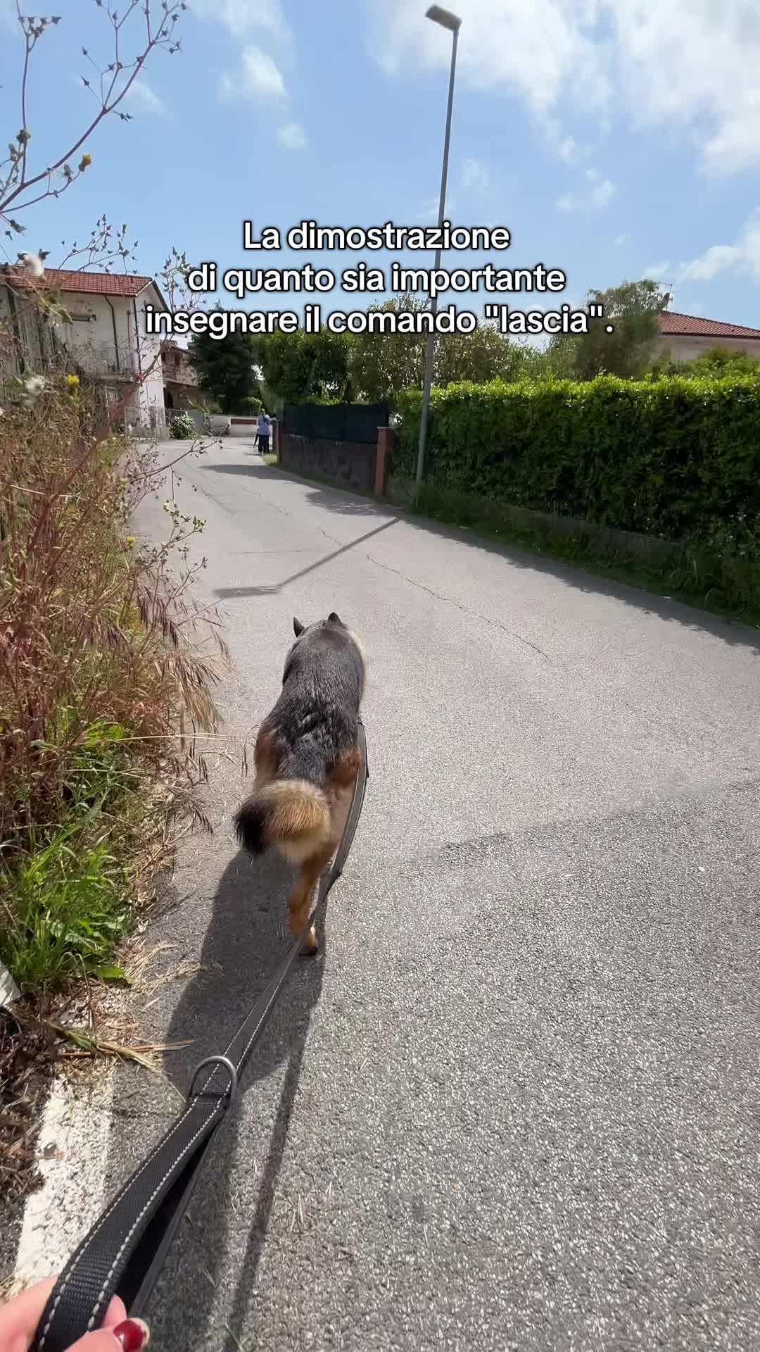 @wolker.amira