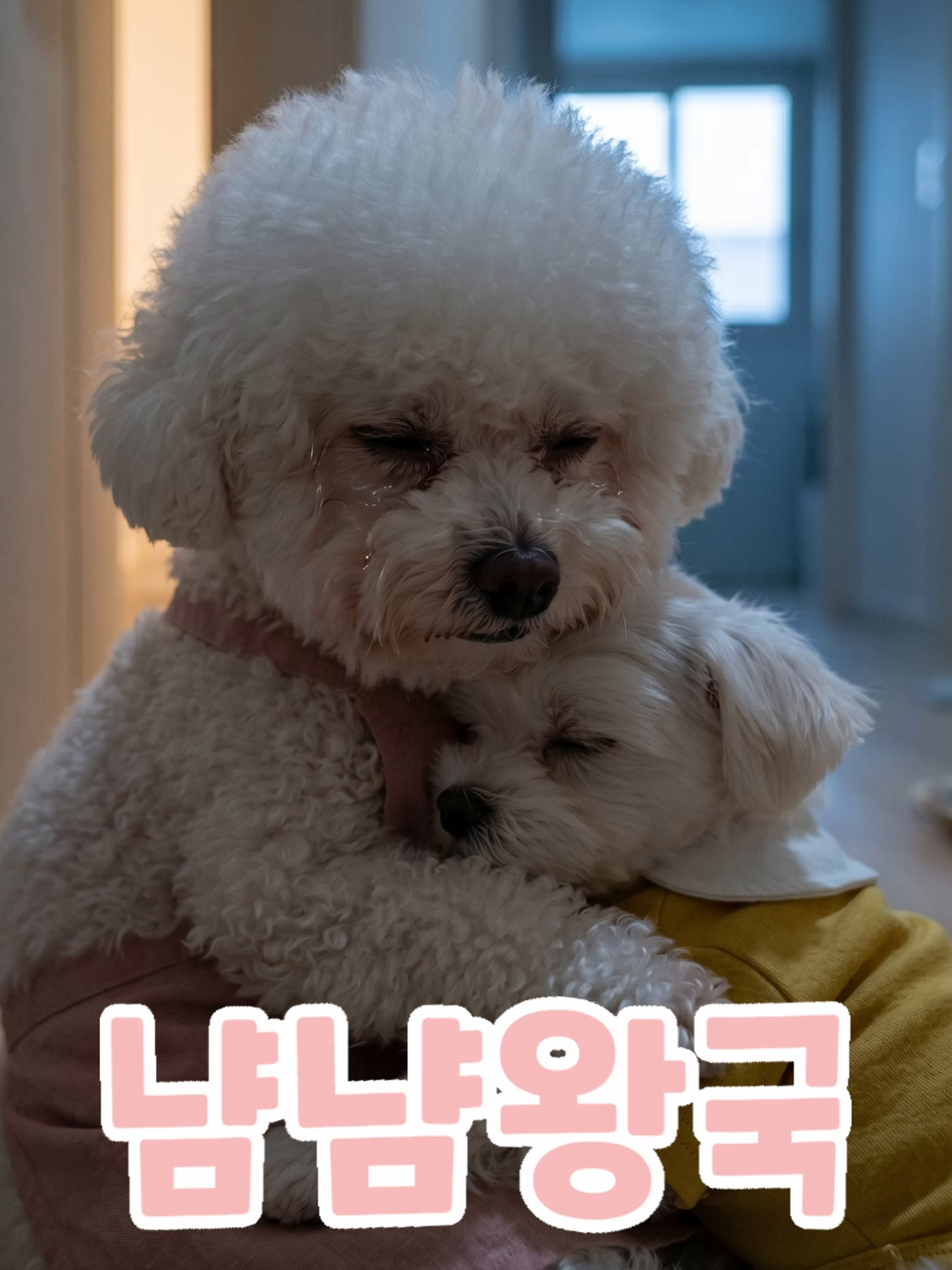 @냠냠왕국