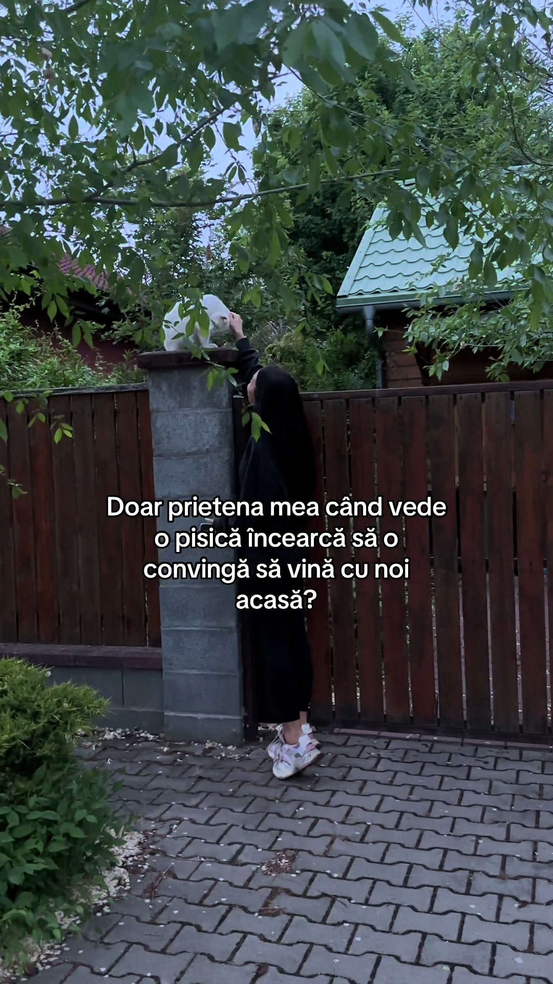 @Raluca Nășcuți