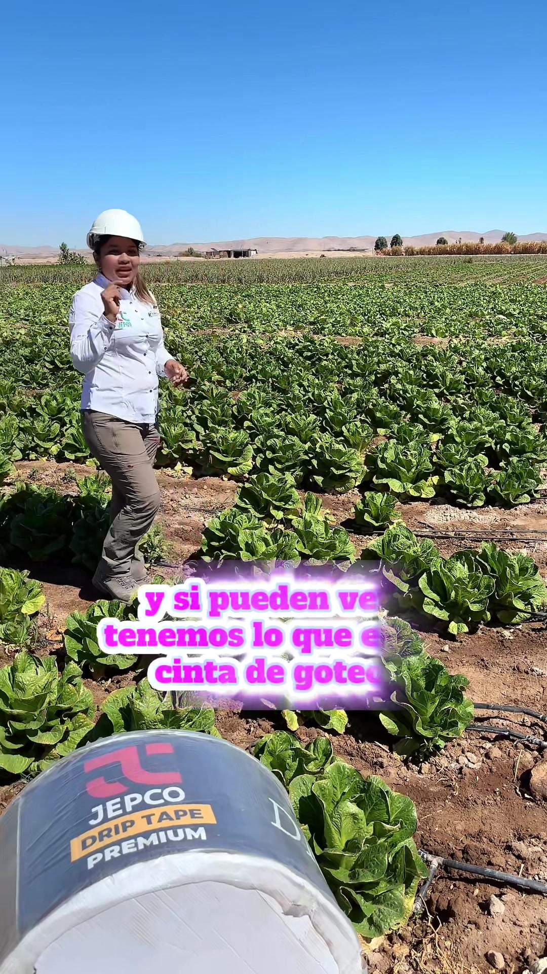 @kaihomaquinarias