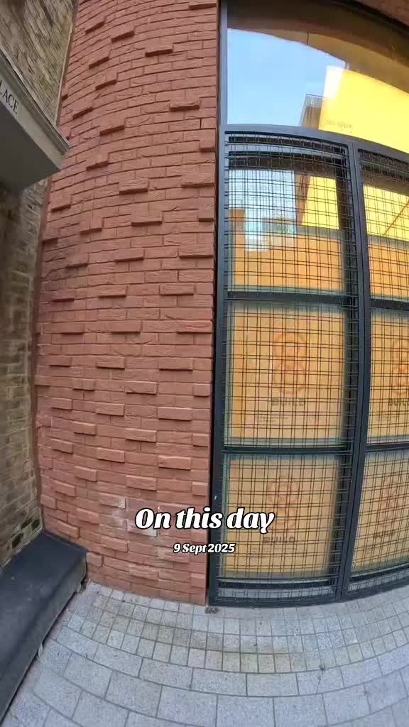 @ボロウスキー クモ