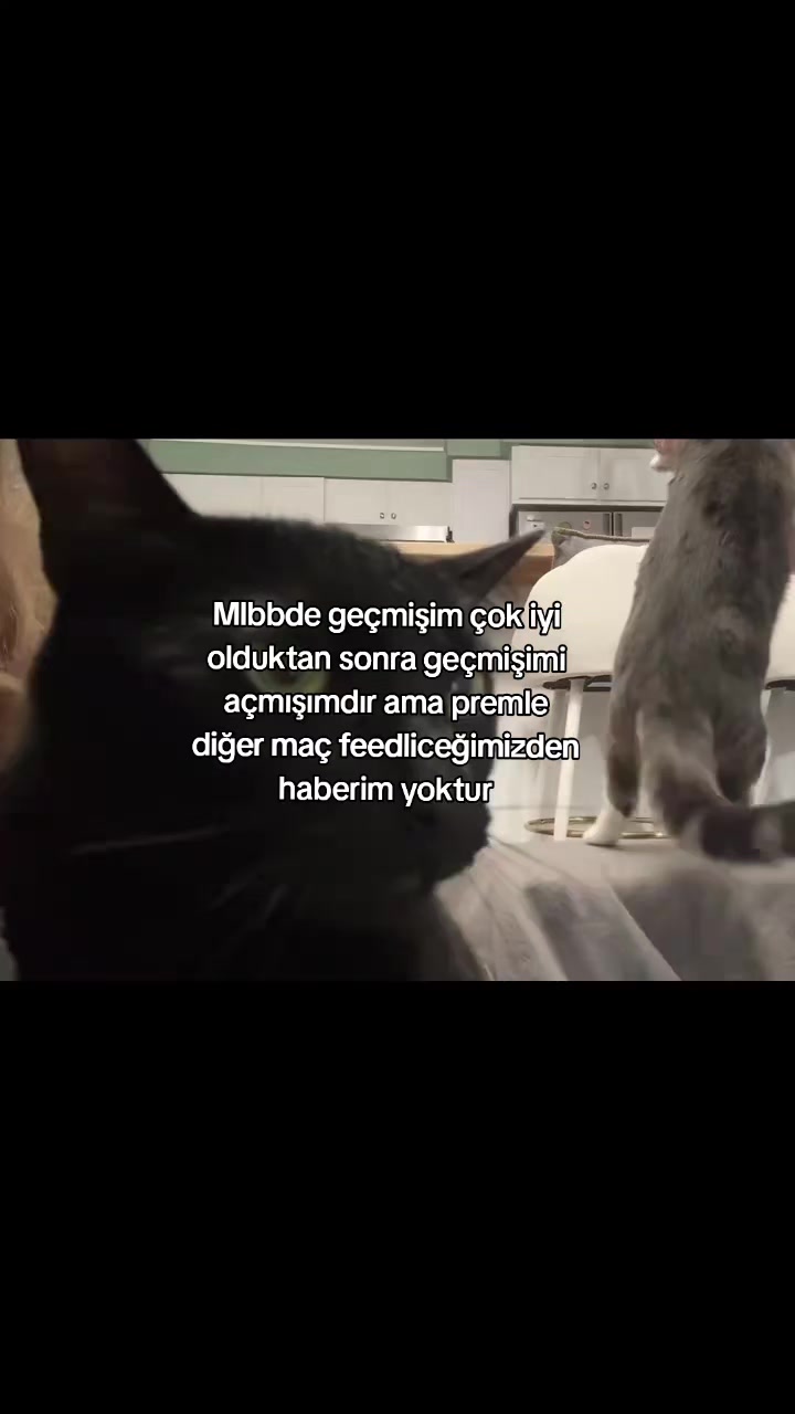 @ꜱᴛəʟ'ꜱ