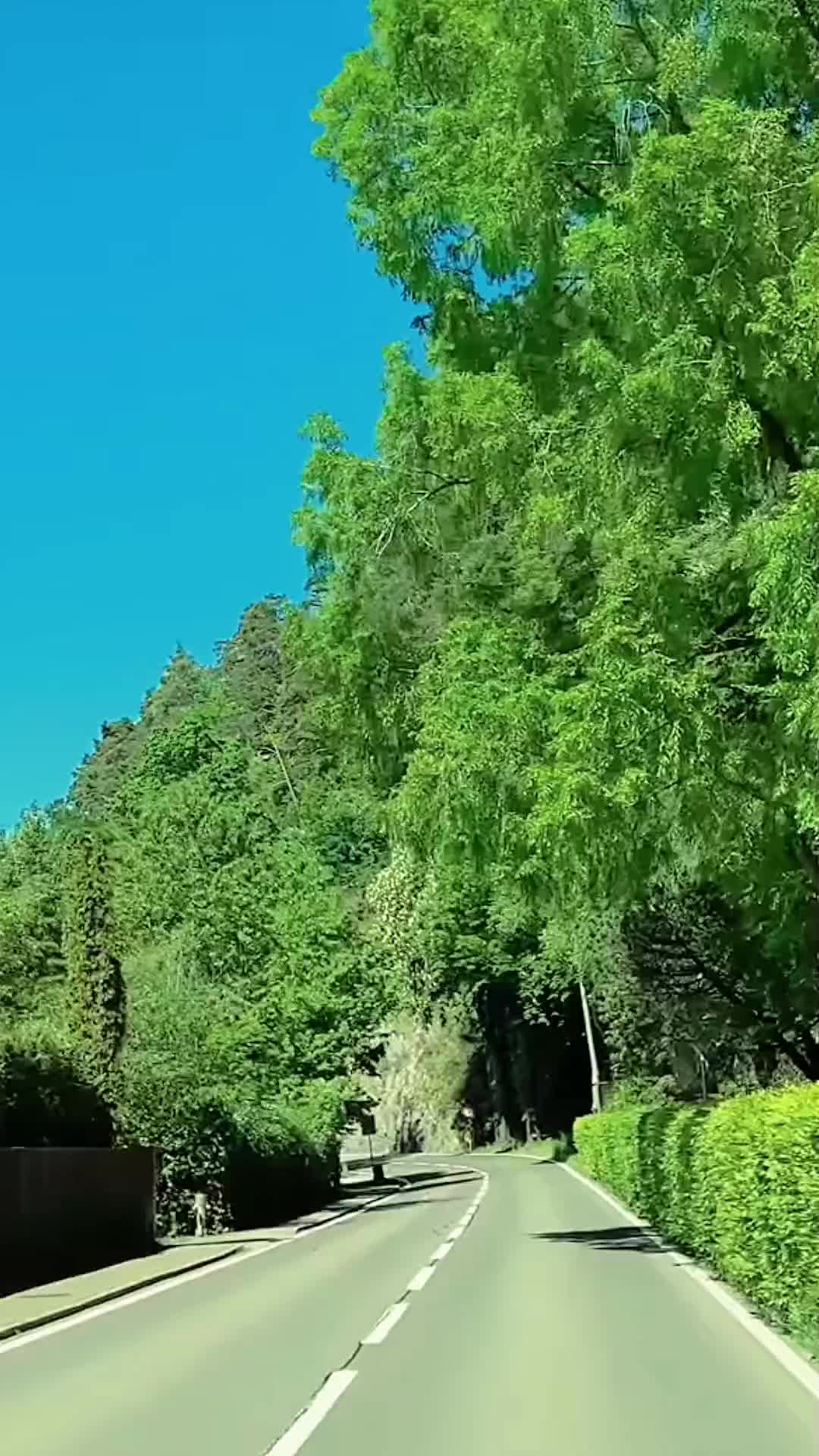 @Mountain_lover58599