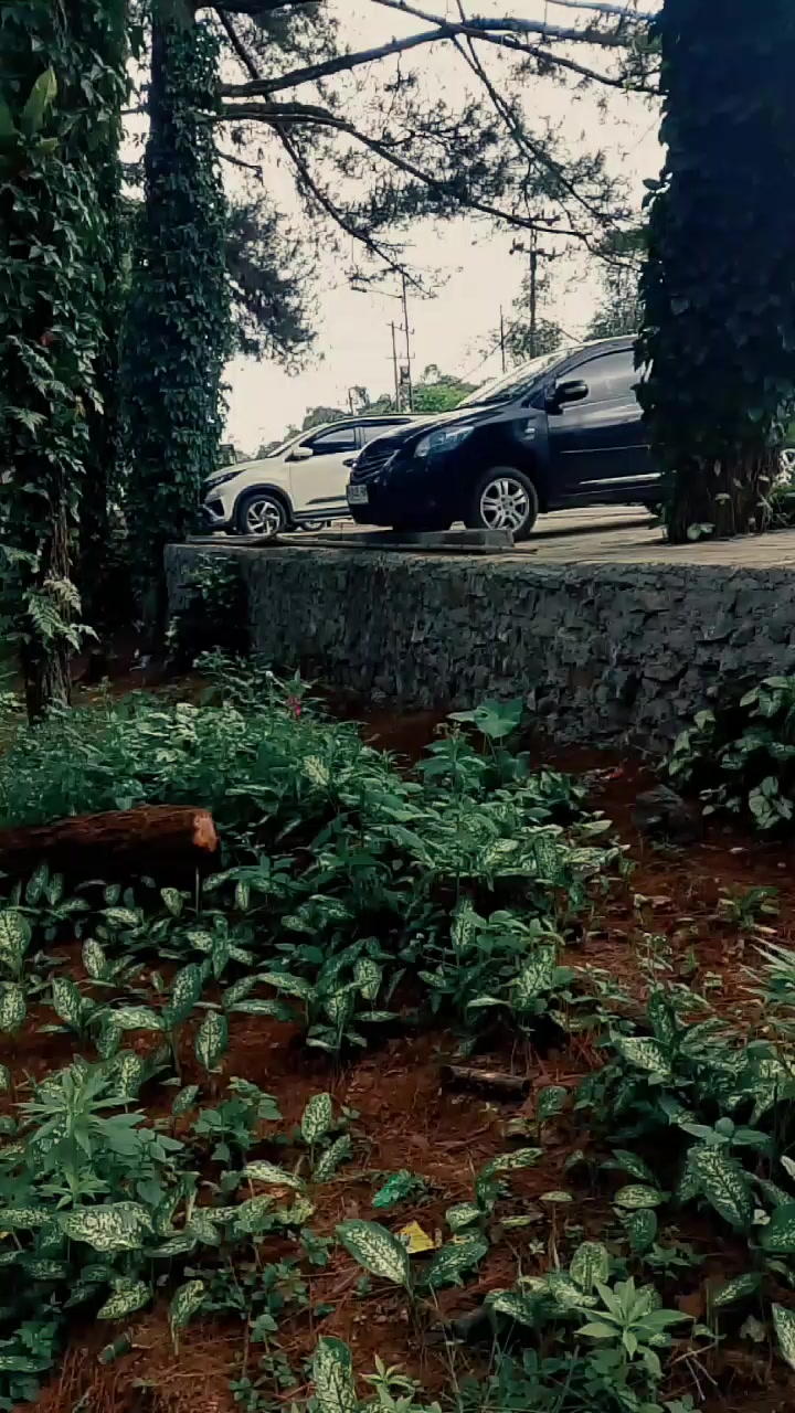 @mekanik Muda