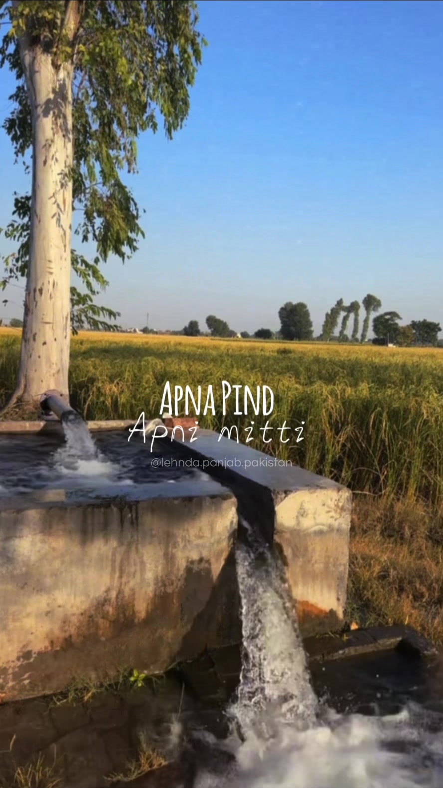 @Lehnda Panjab🇵🇰