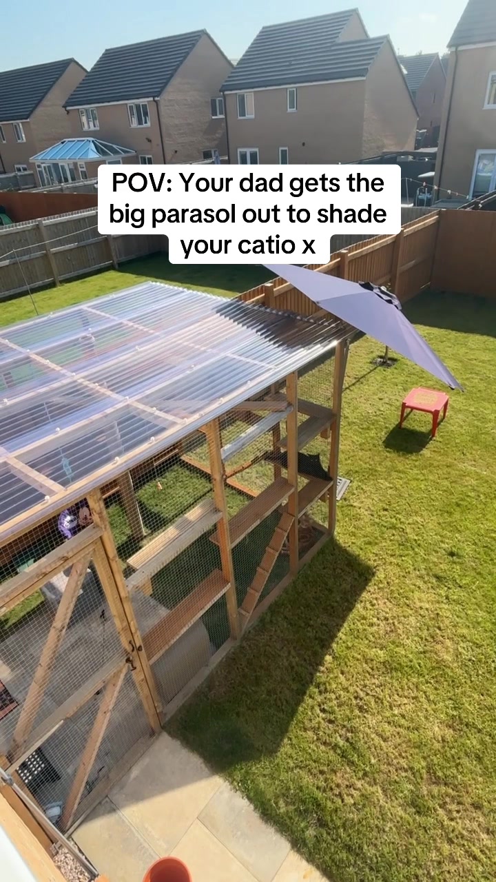 @Klaus