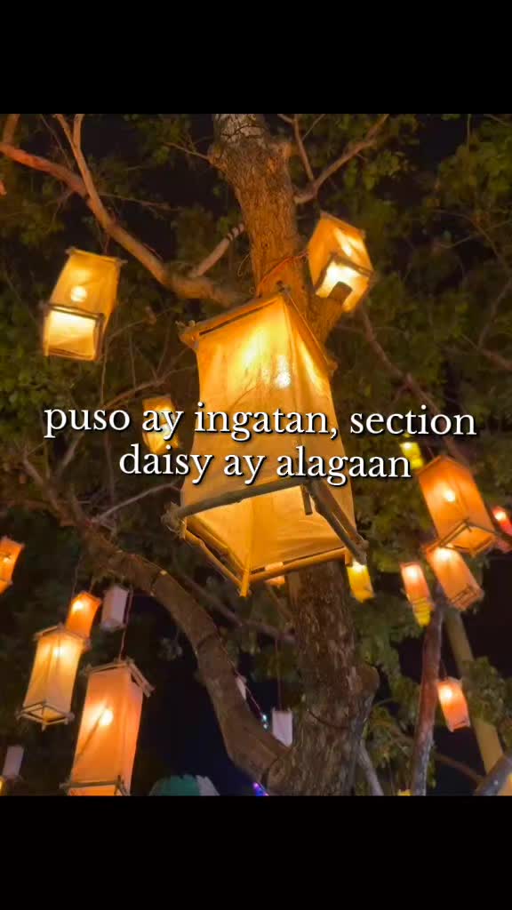 @7-DAISY BABIES🌼