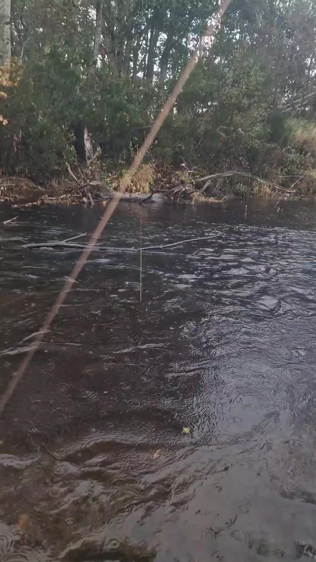 @The Black Douglas Angling