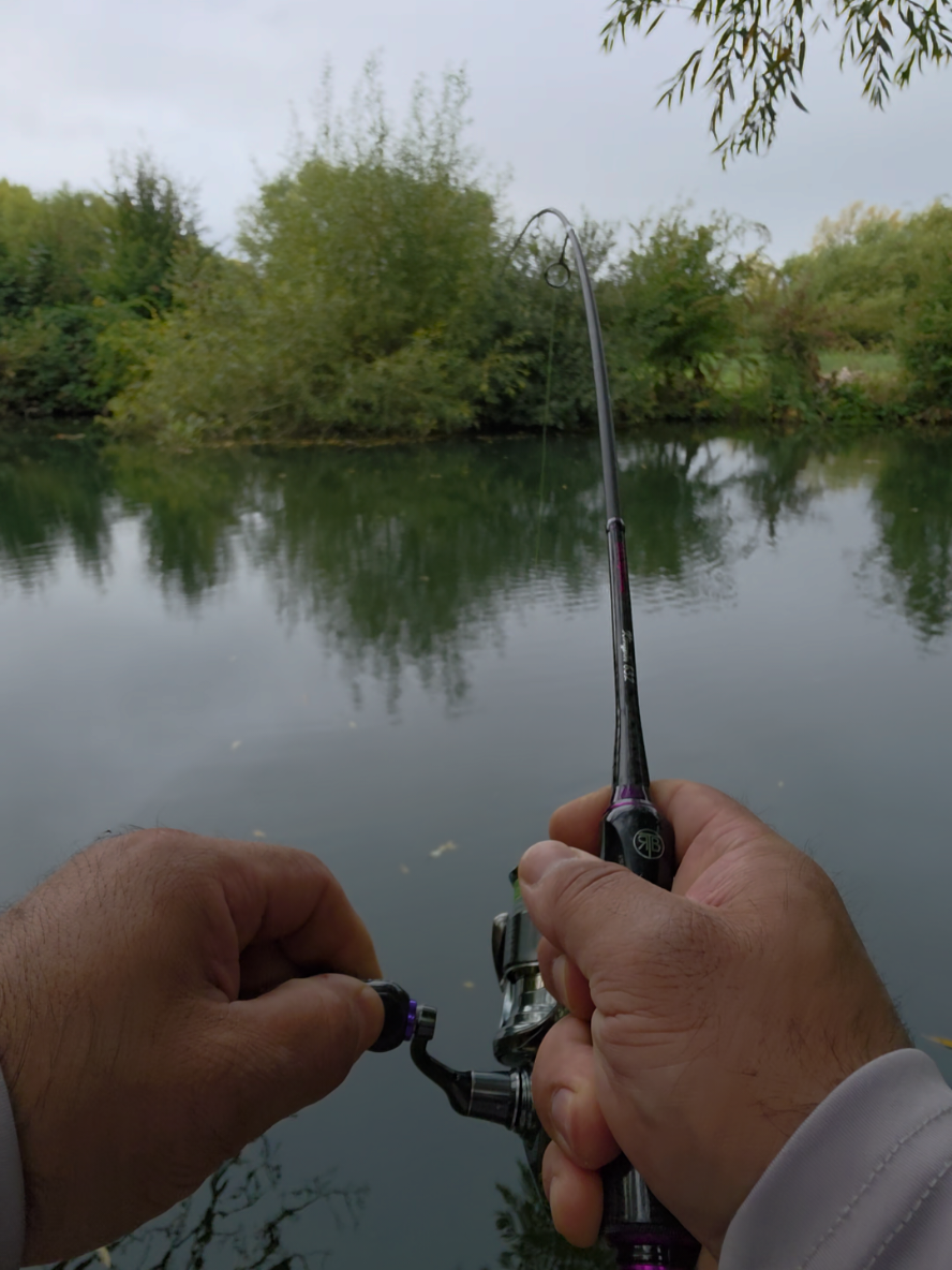 @BF Angler