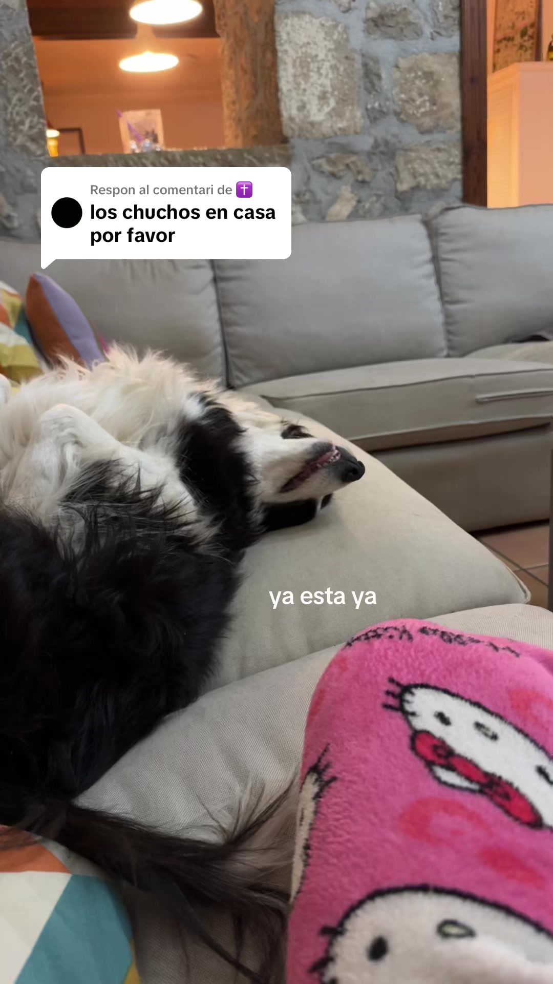 @mariardz