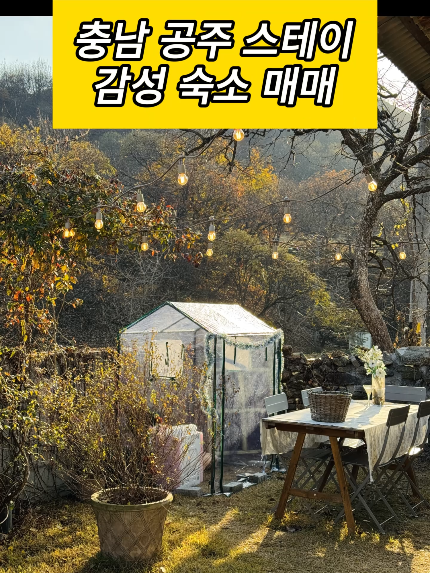 @시골집 한옥 전원주택 귀농 귀촌 시골 한달살기 촌캉스