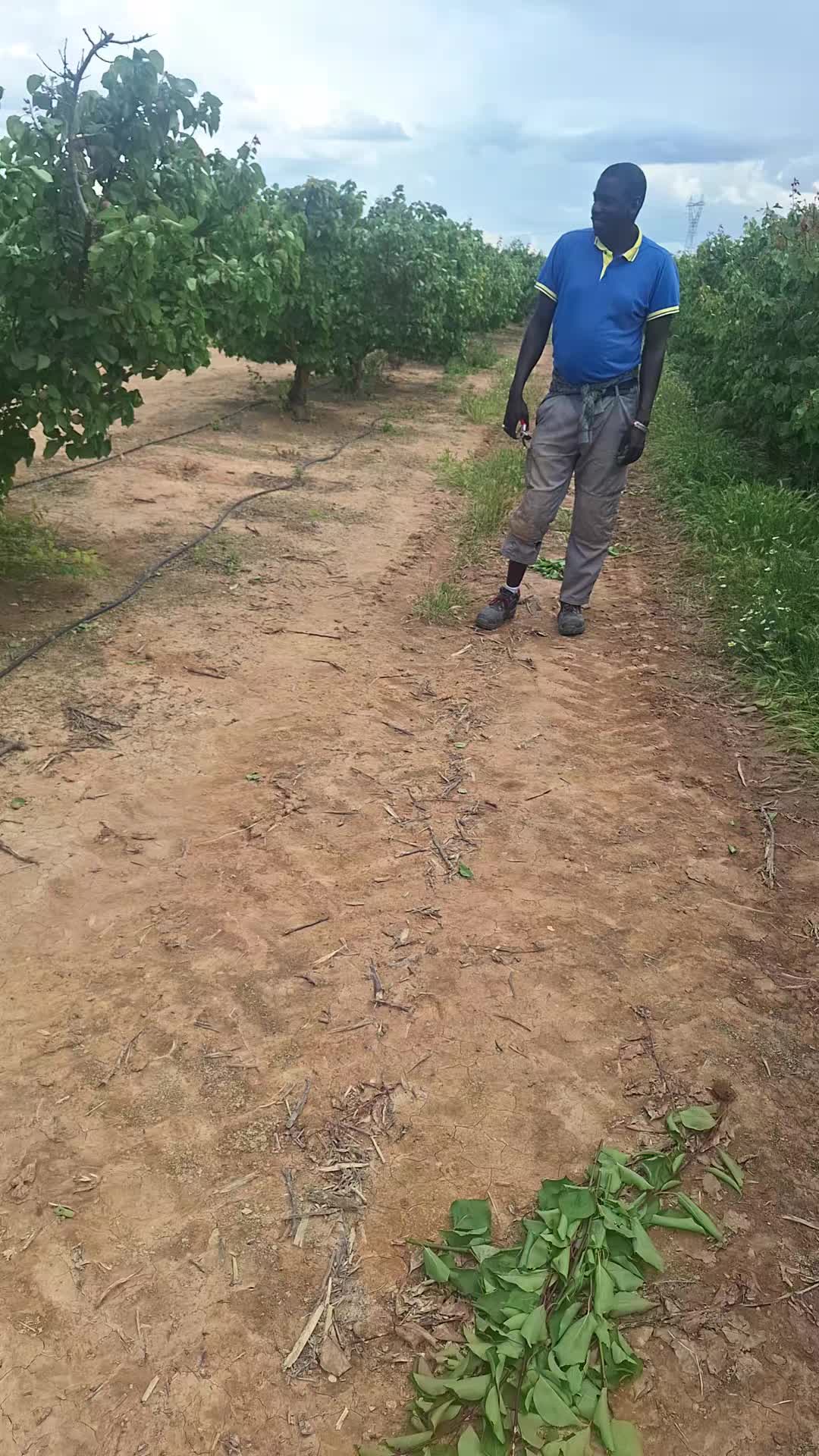 @El Hadji Seck Diba