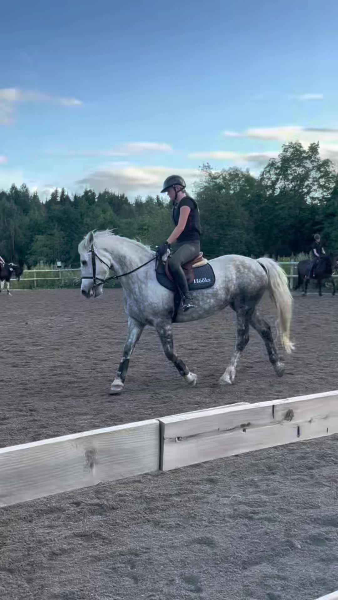 @Ella Grinde🇸🇪