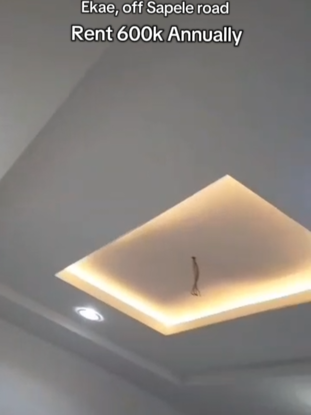 @His_properties