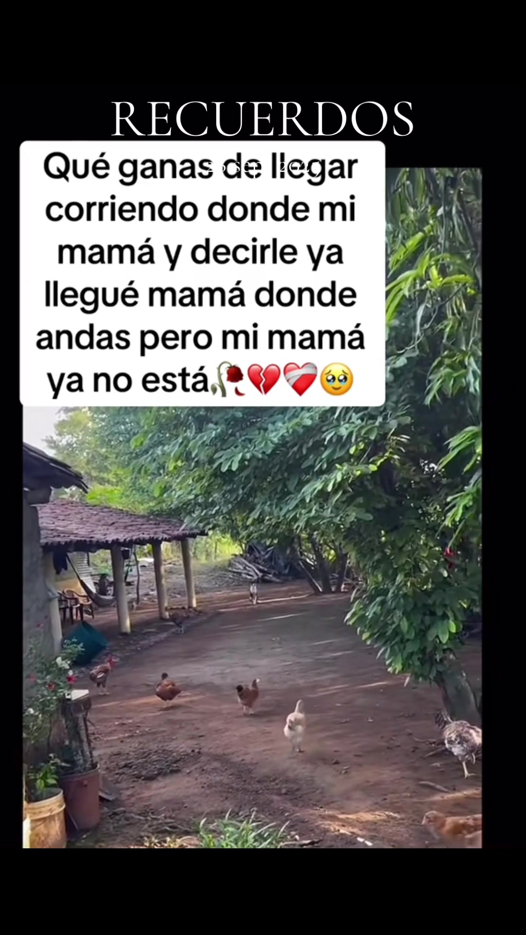 @🇭🇳CLARY🫶👌🇭🇳