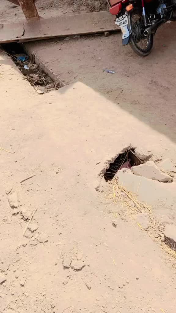 @پینڈو آفیشل🤪🤪