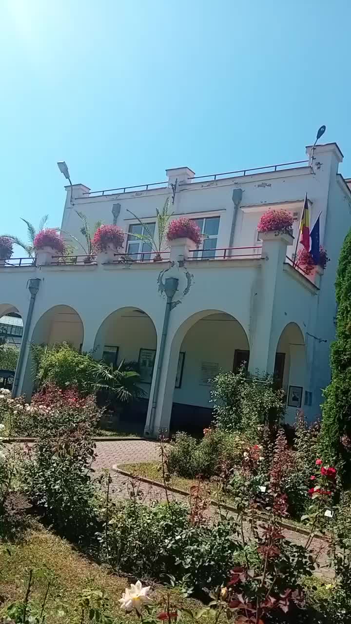 @⭐️Prința Eli ⭐️