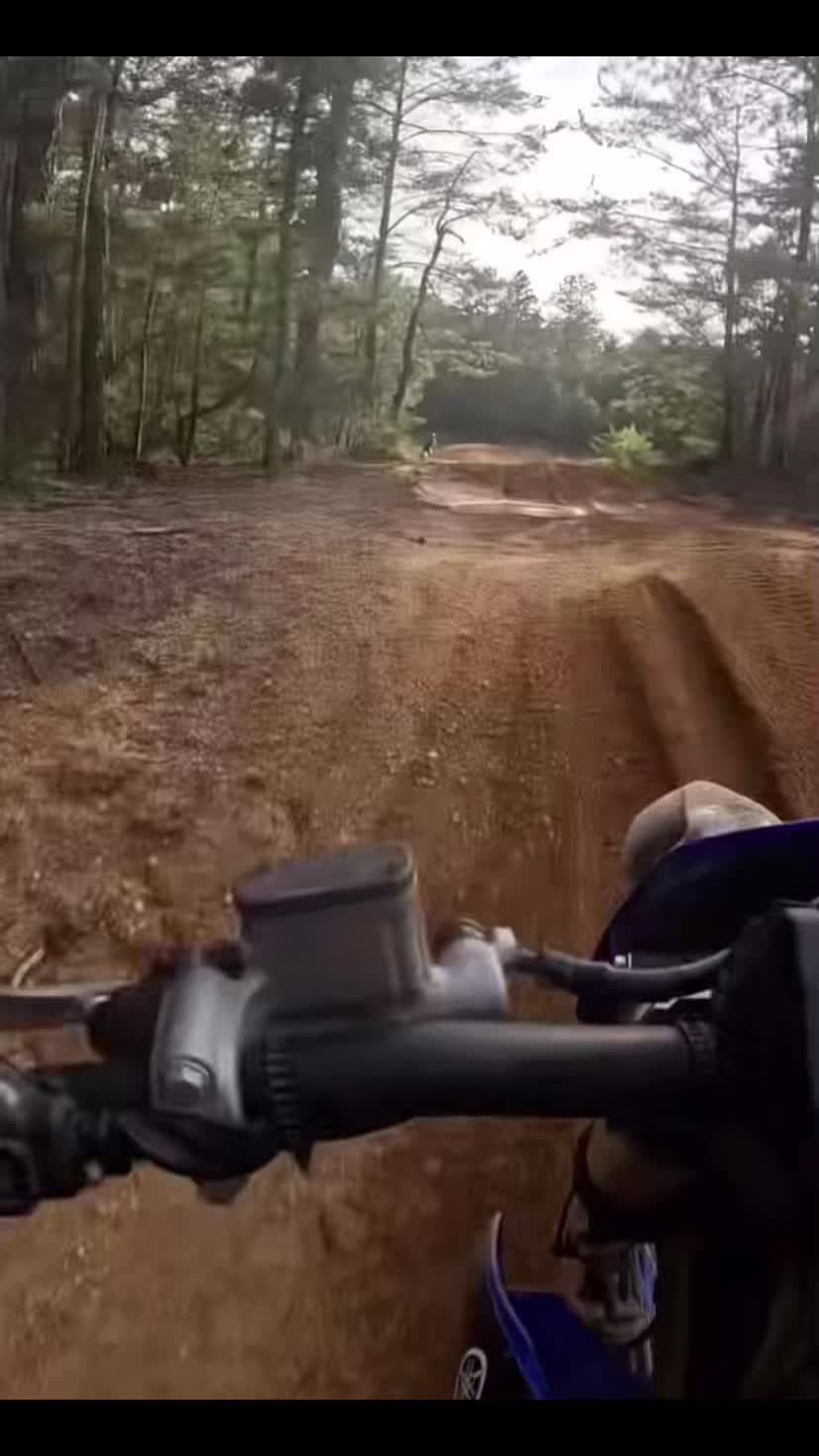 @MX_TikTok