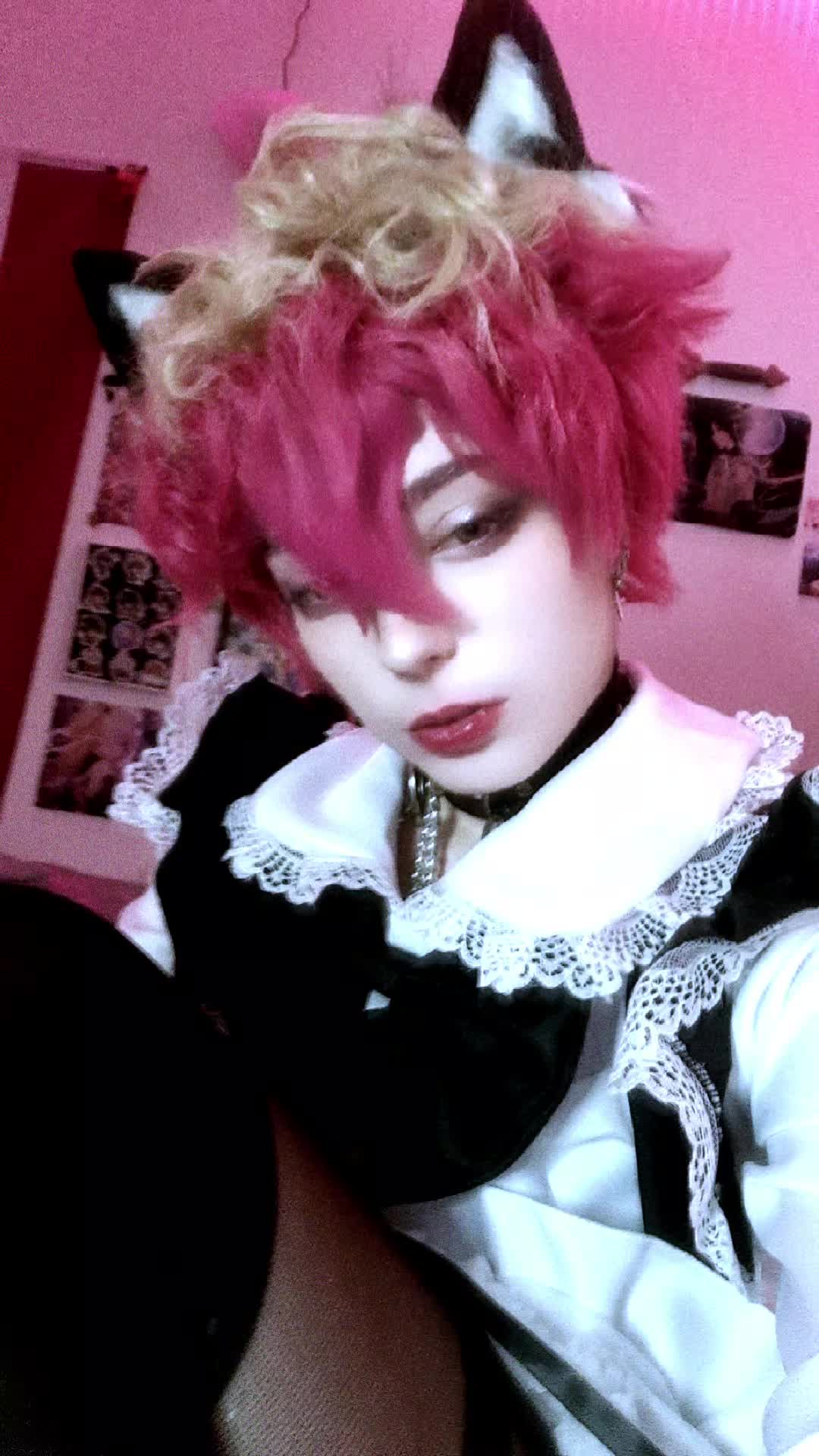 @♡ Anthro Cosplay ♡