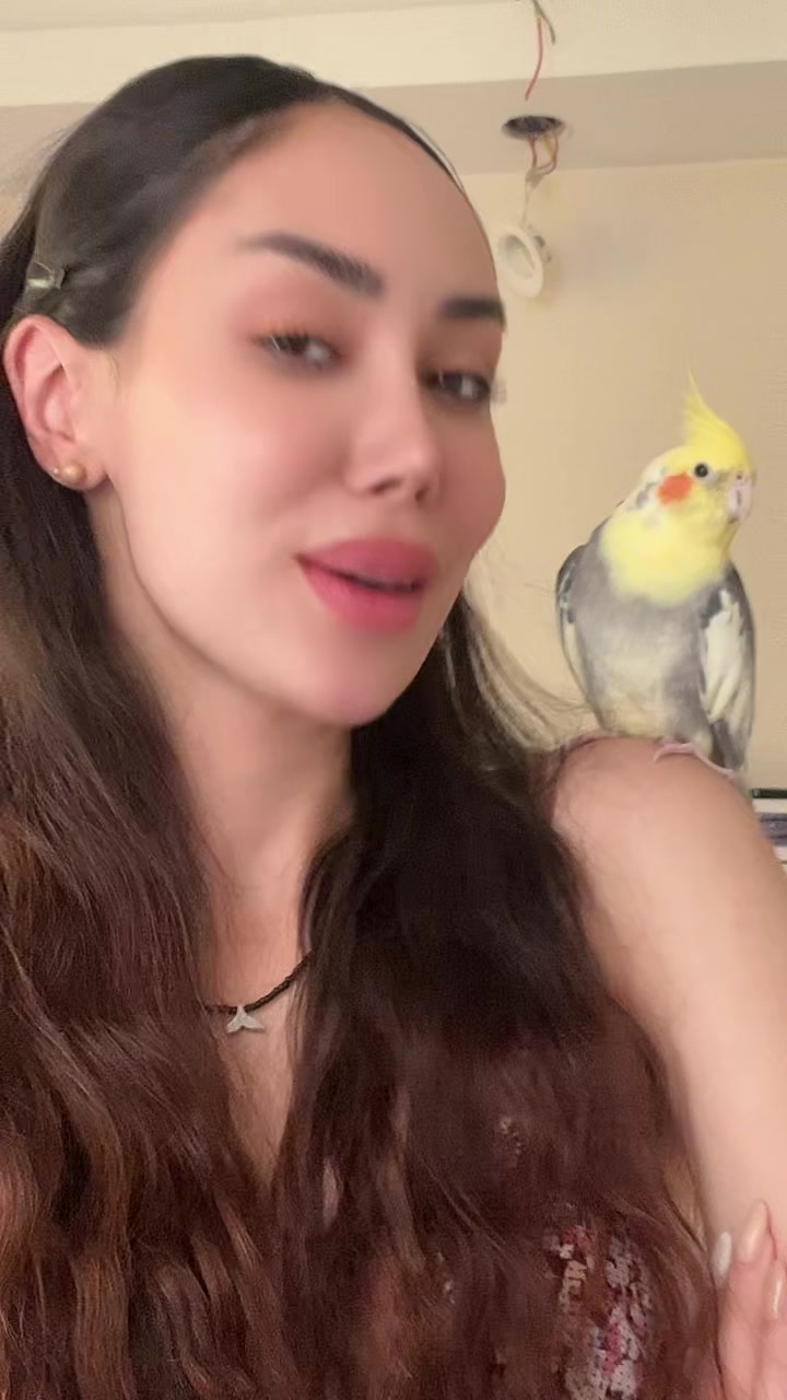 @frnzmohmdi