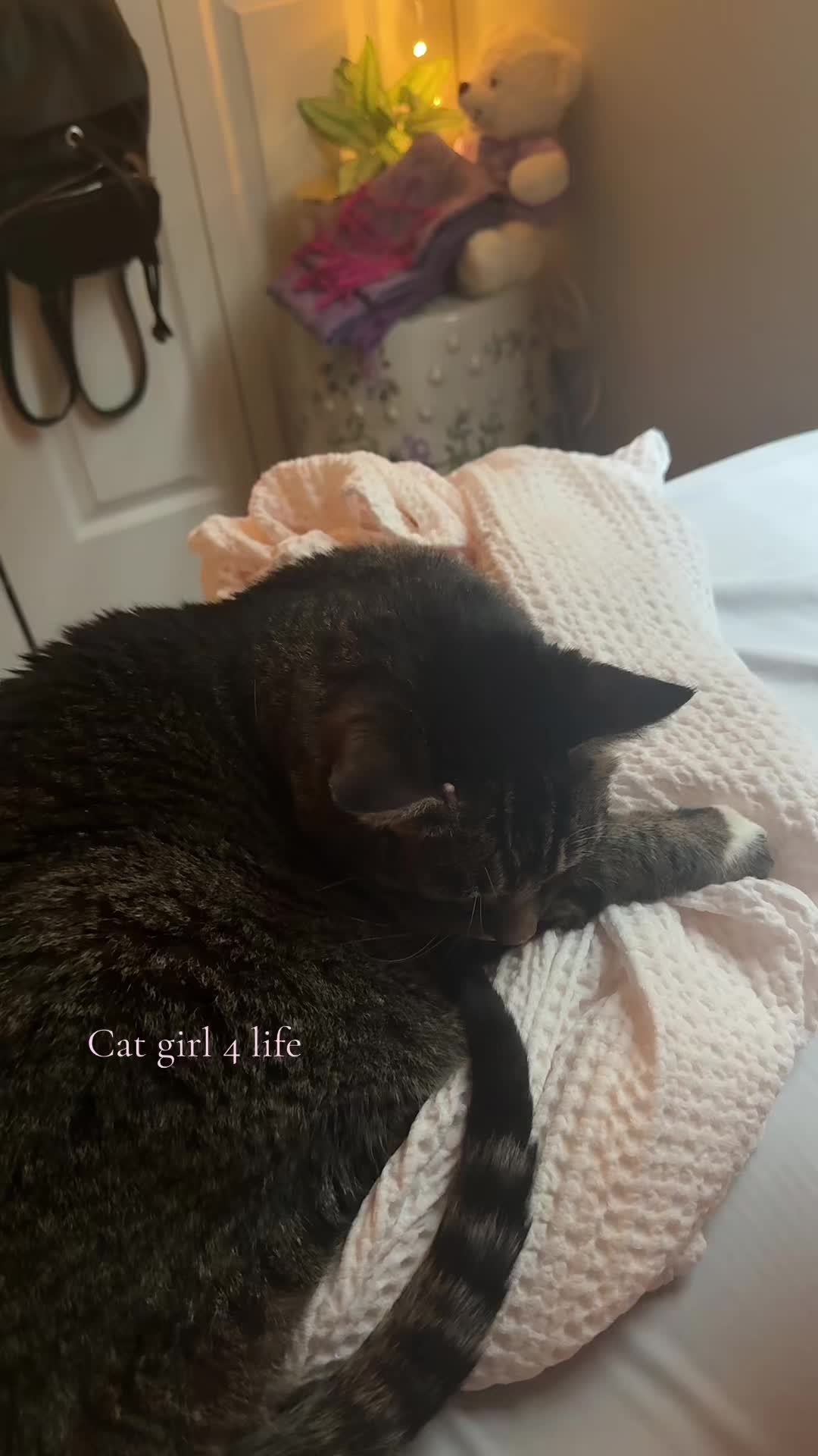 @🐒ophia
