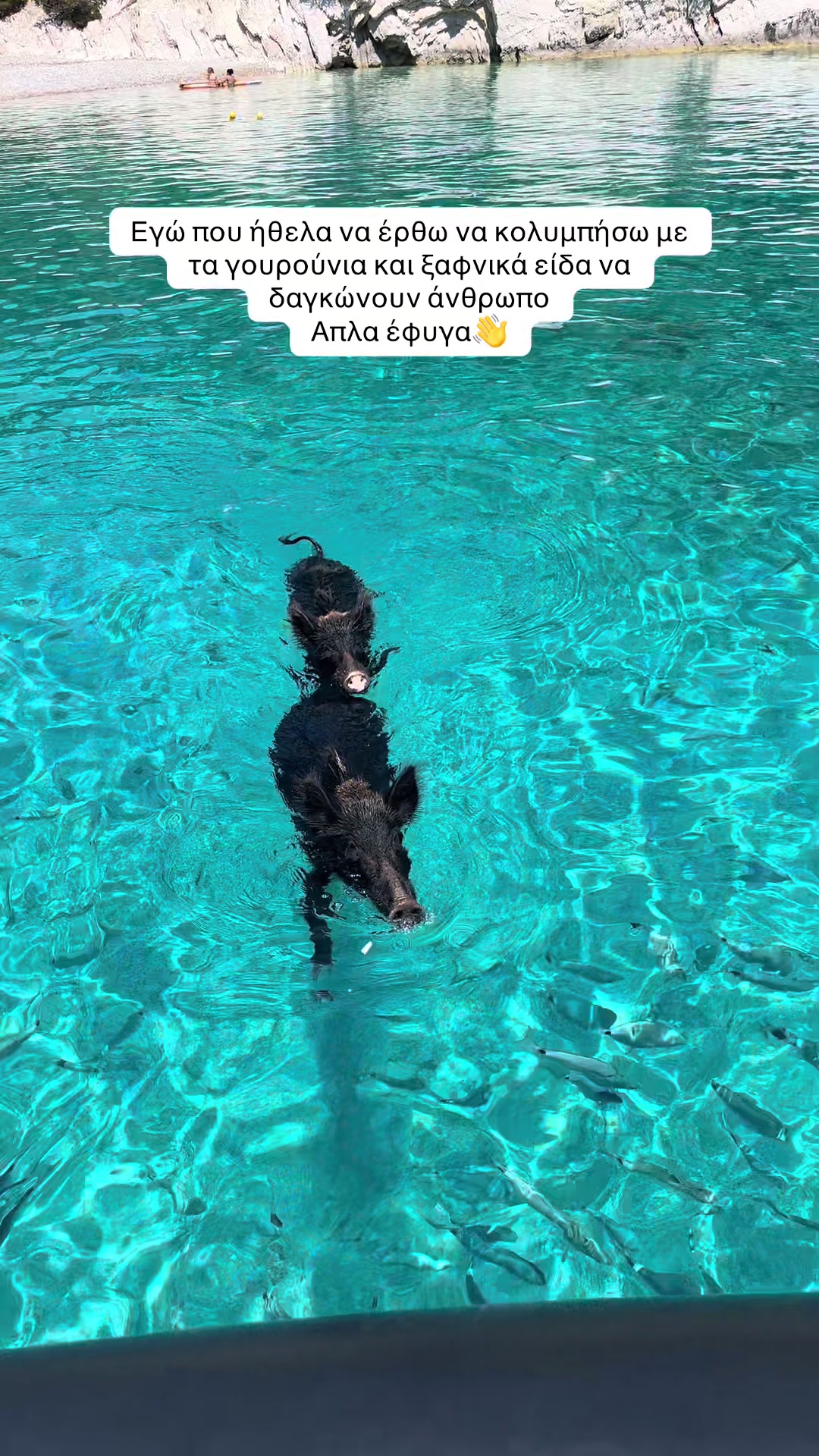 @Βάσω Κριτσιμά