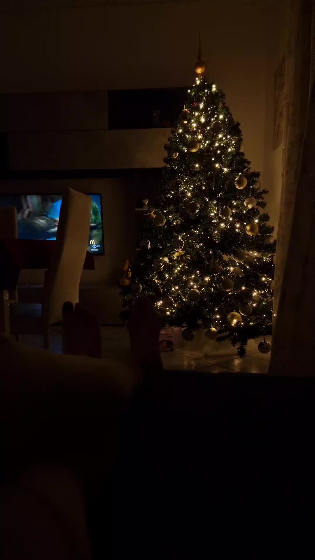 @KarinaDiaconu