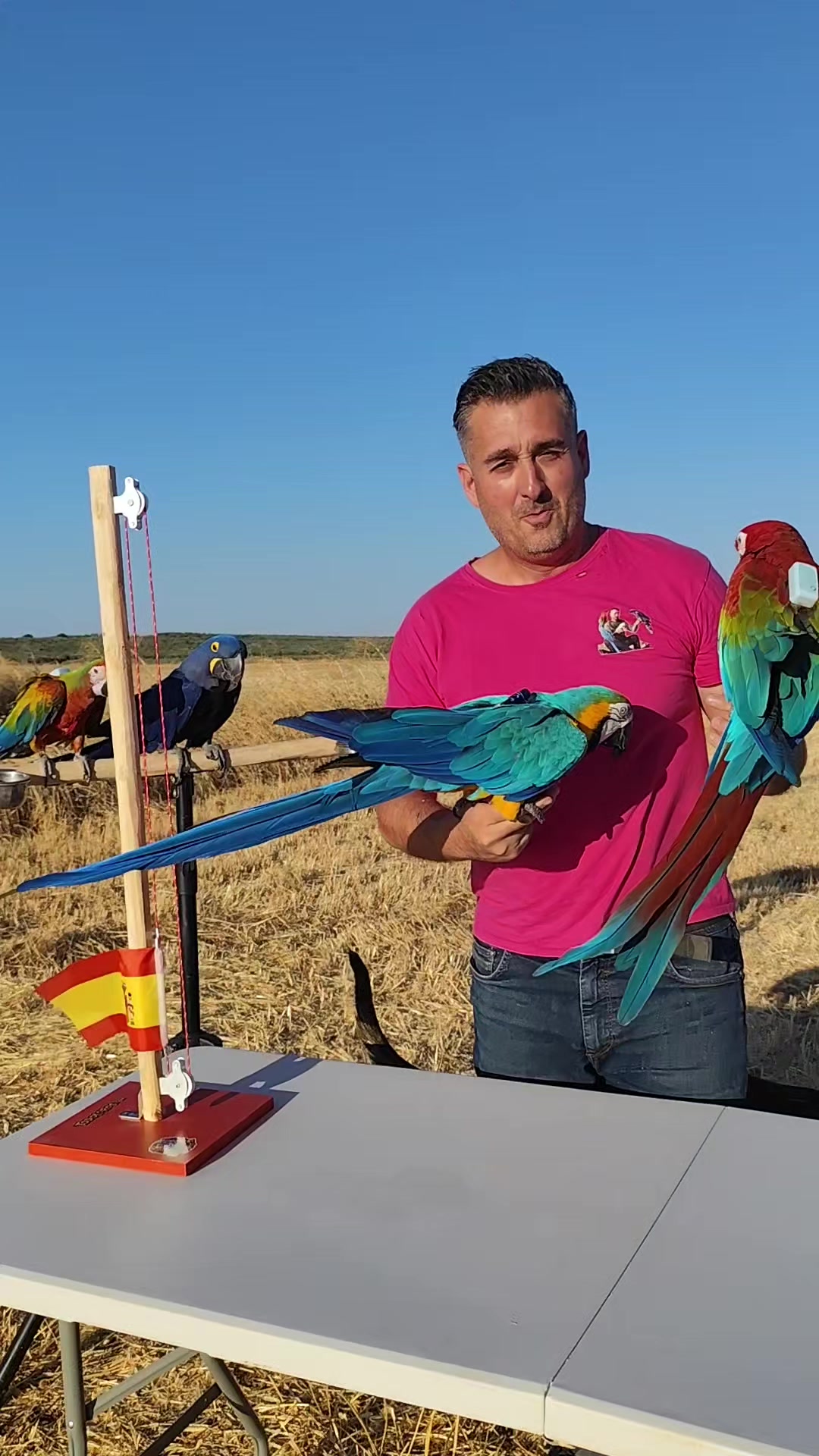@TODO LOROS