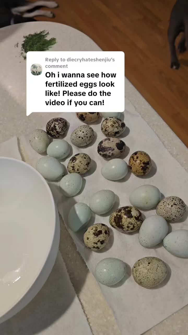 @ActiveMommy