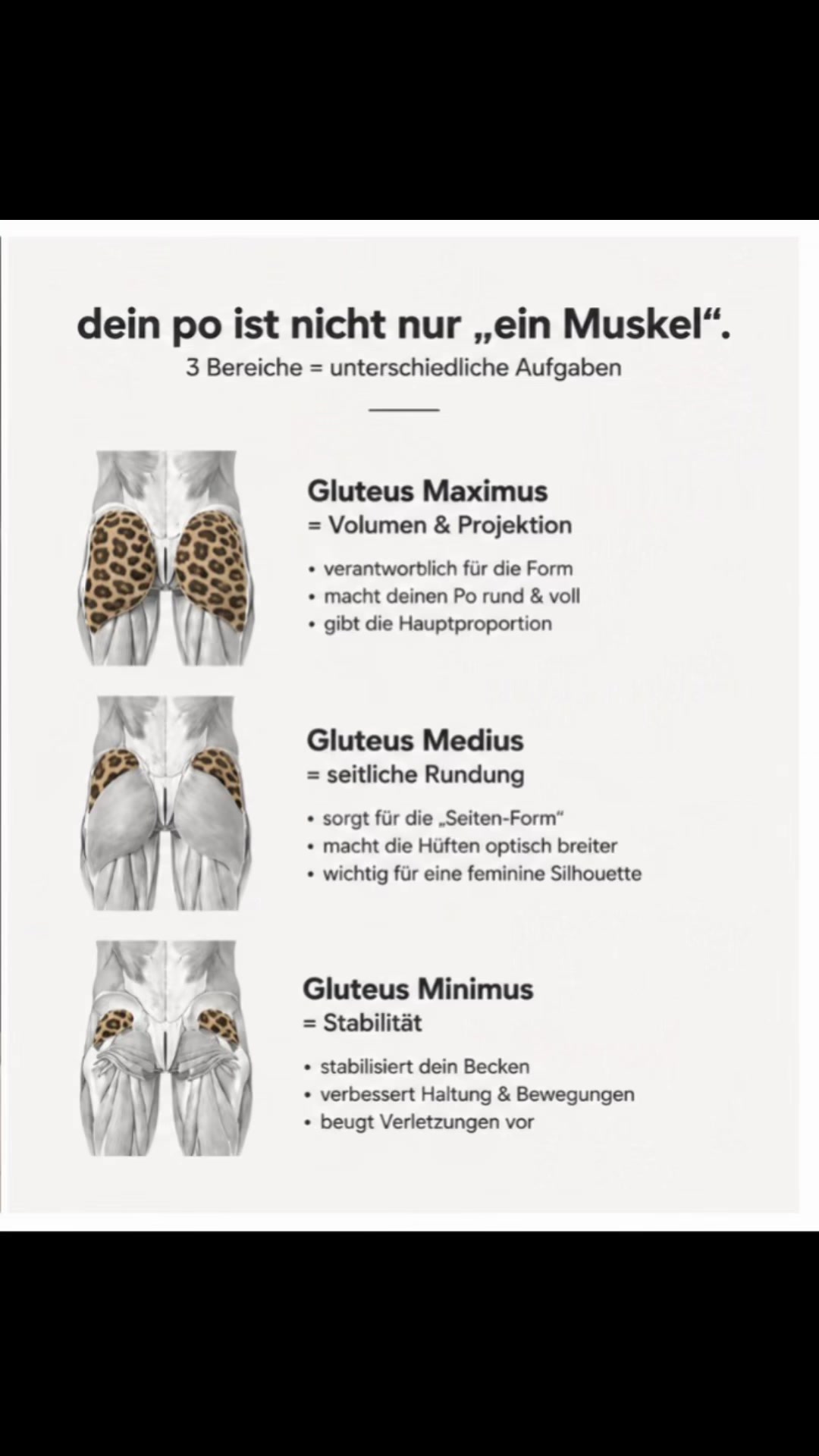 @Your Gym & Mindset Coach Seda