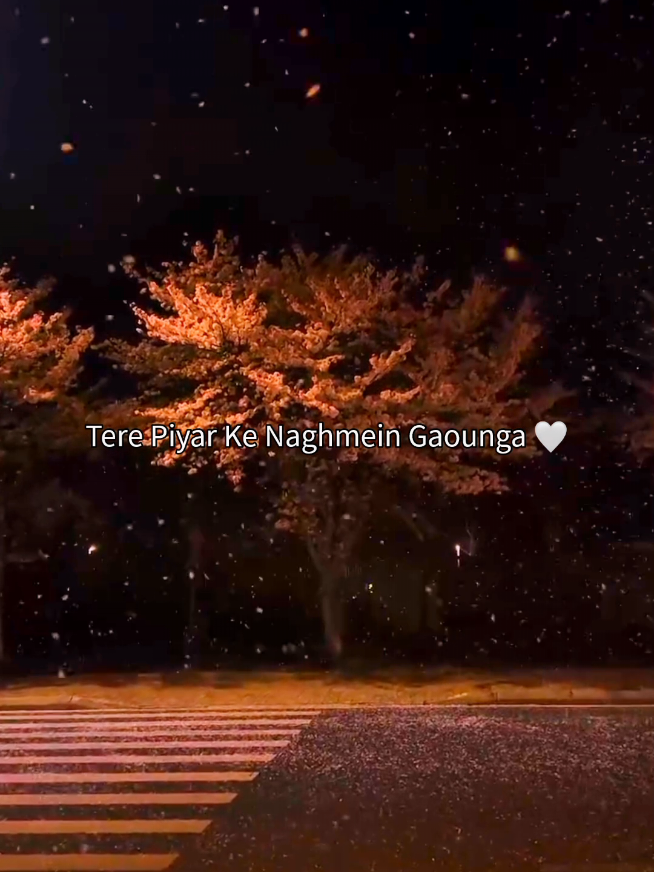 @𝗦𝗼𝘂𝗹𝗳𝘂𝗹 𝗖𝗹𝗶𝗽𝘀 🌙