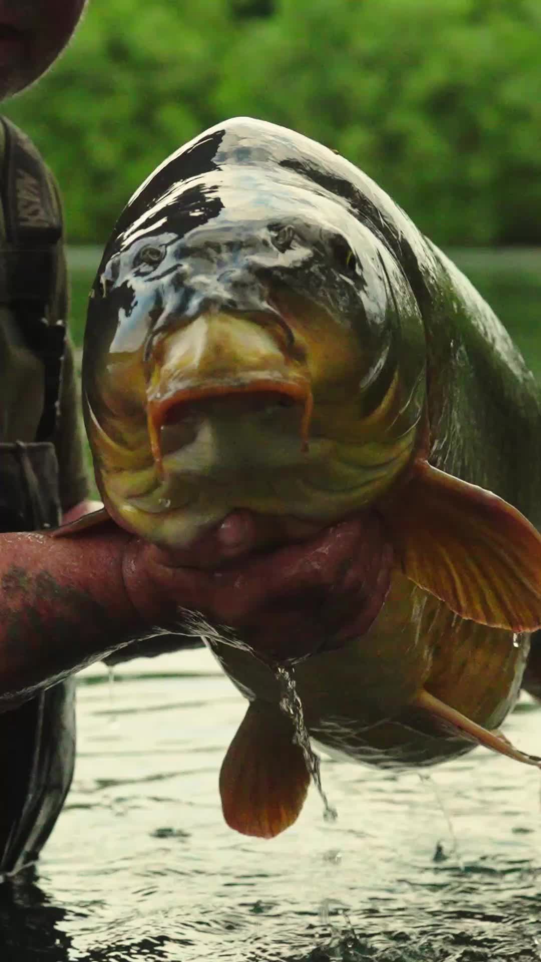 @Nash Tackle