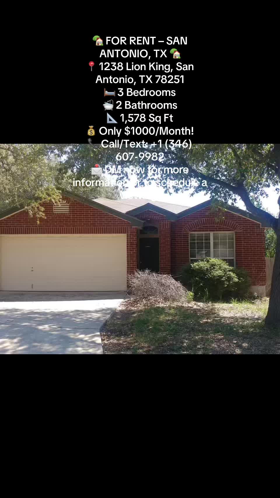@lowbudget house rent