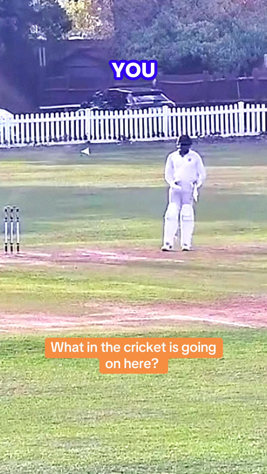 @MySide of Cricket