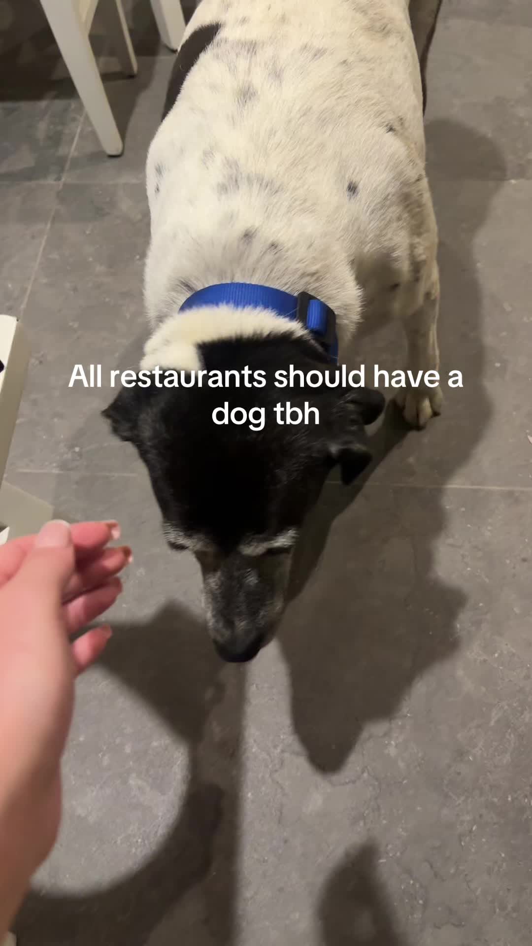 @jo