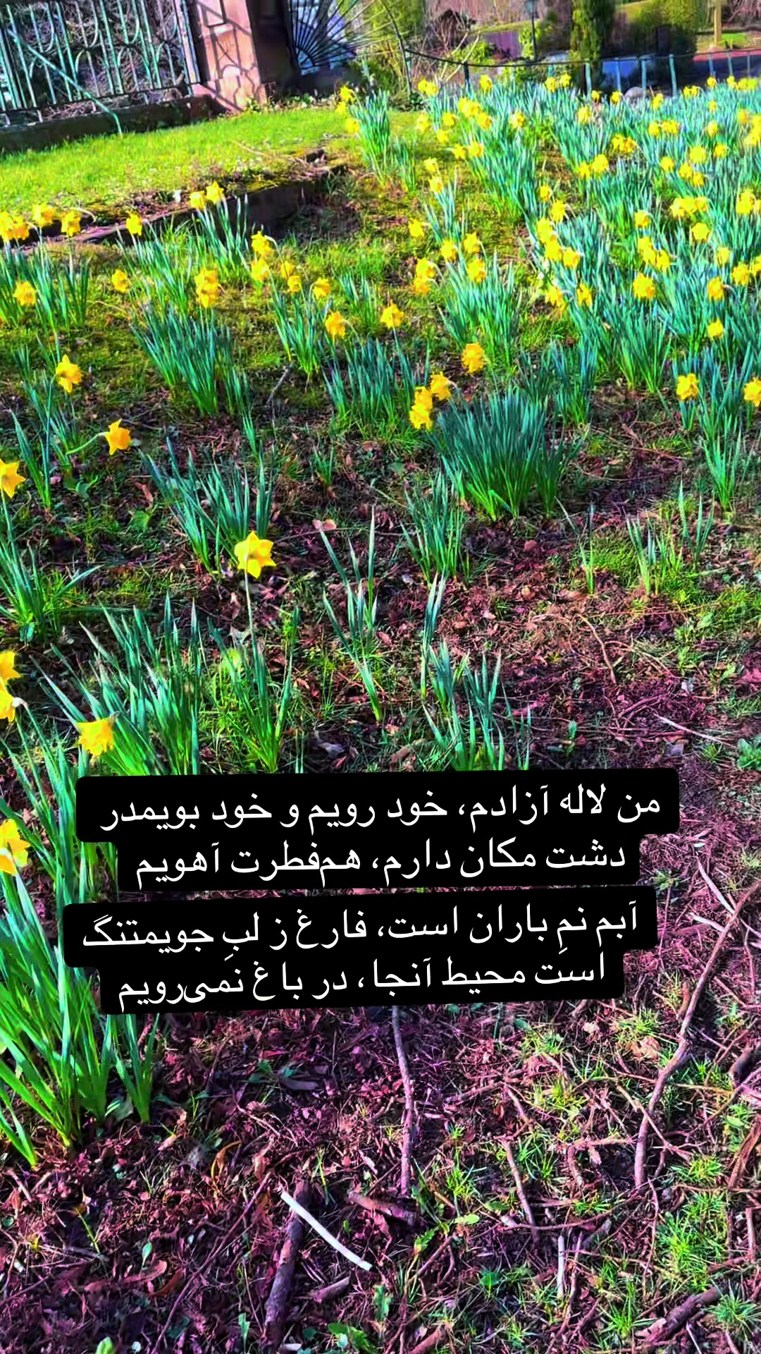 @🌷Mrs_tabs🌷