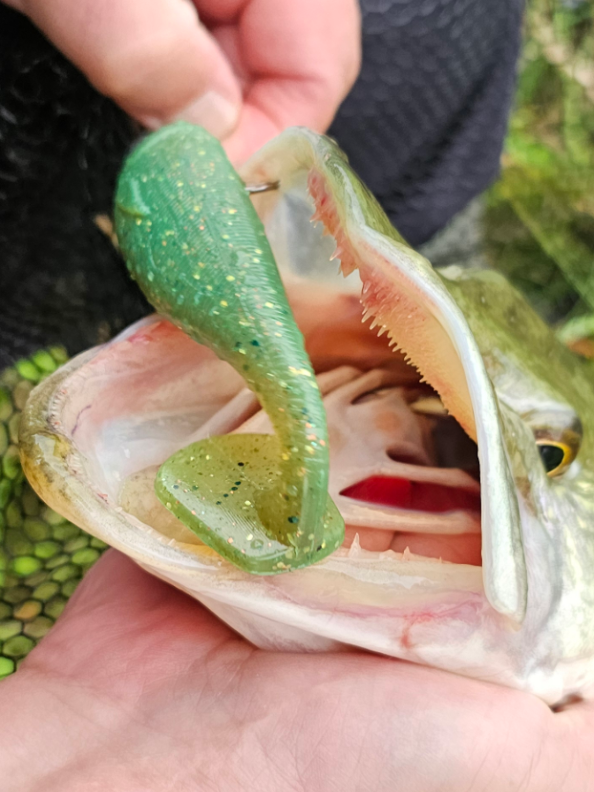 @EB FISHING EUROPE