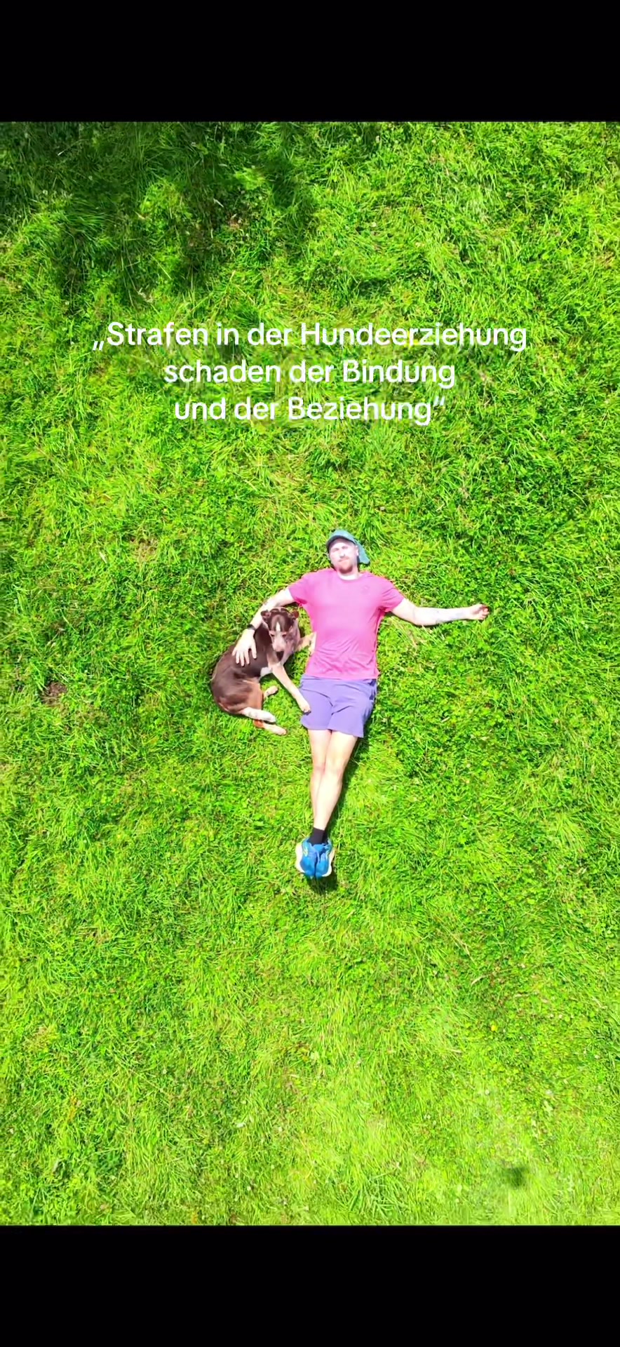 @alex_hundecoach