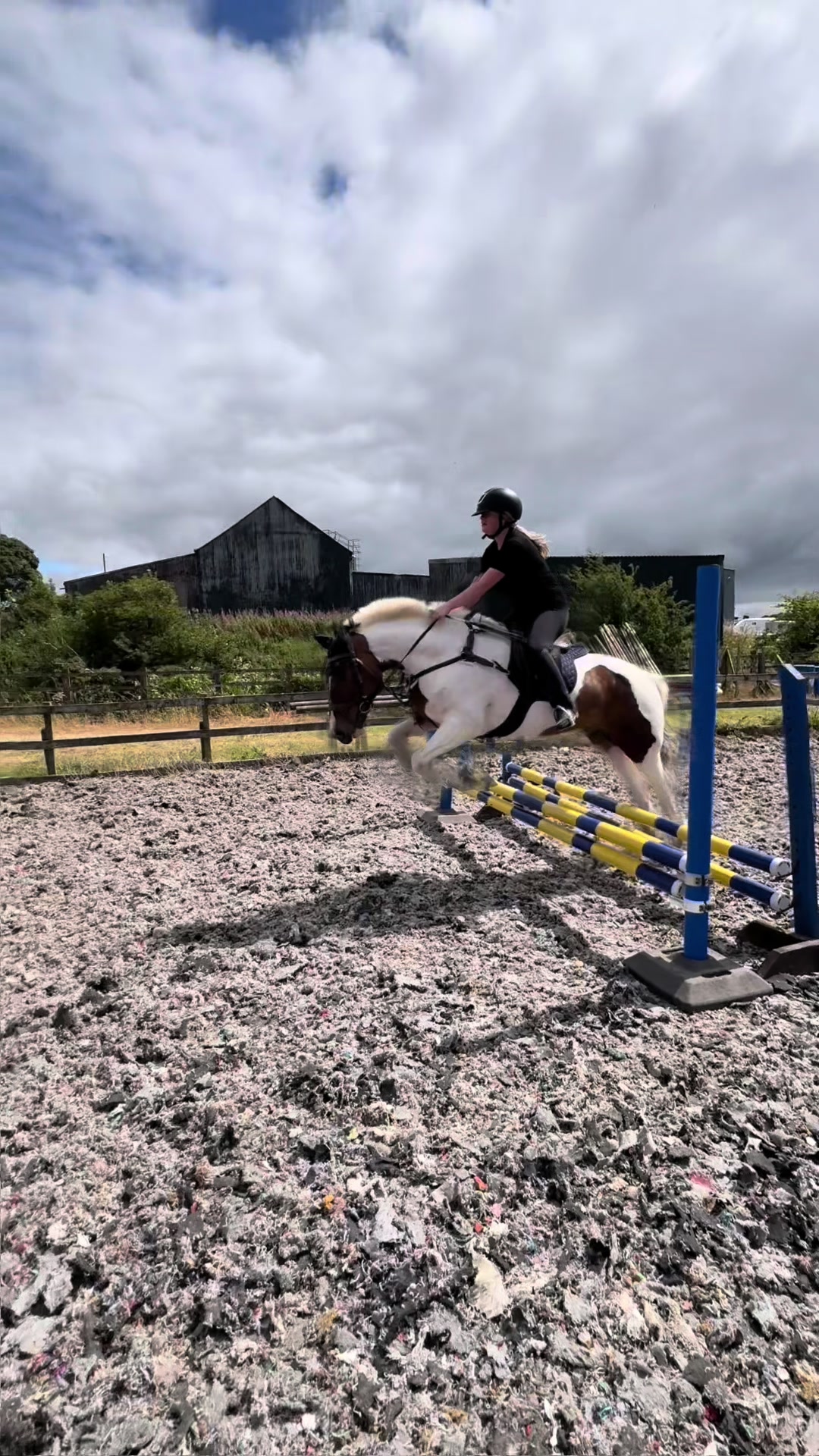 @Lilywiththecobs🐴