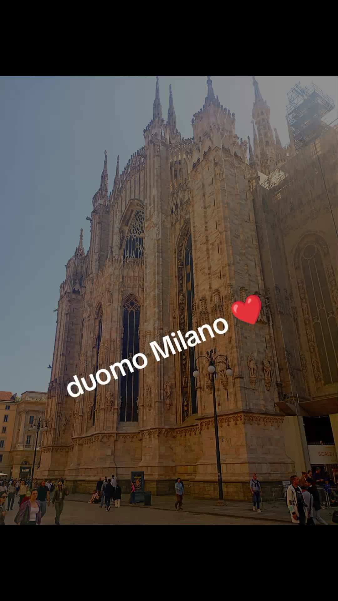 @silvestroruggeri0