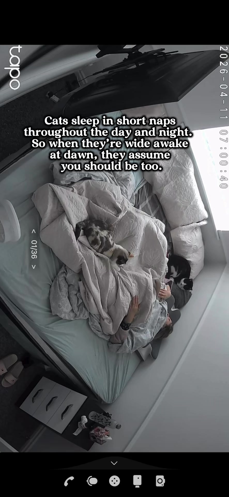 @slavic_cat_mum