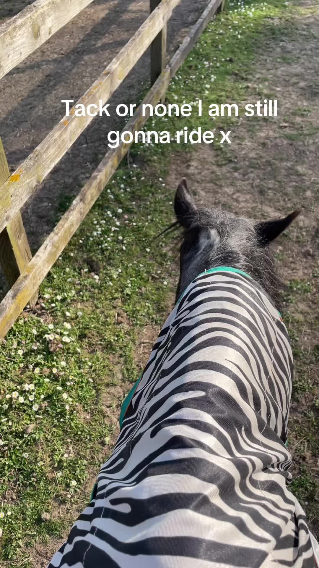 @Indy