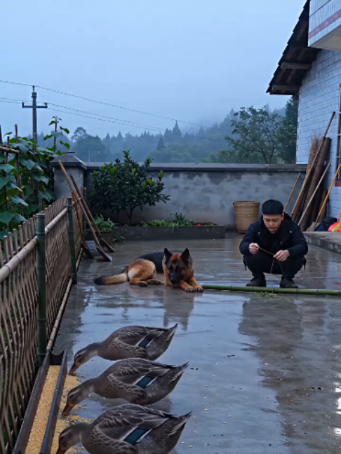 @陈维宣