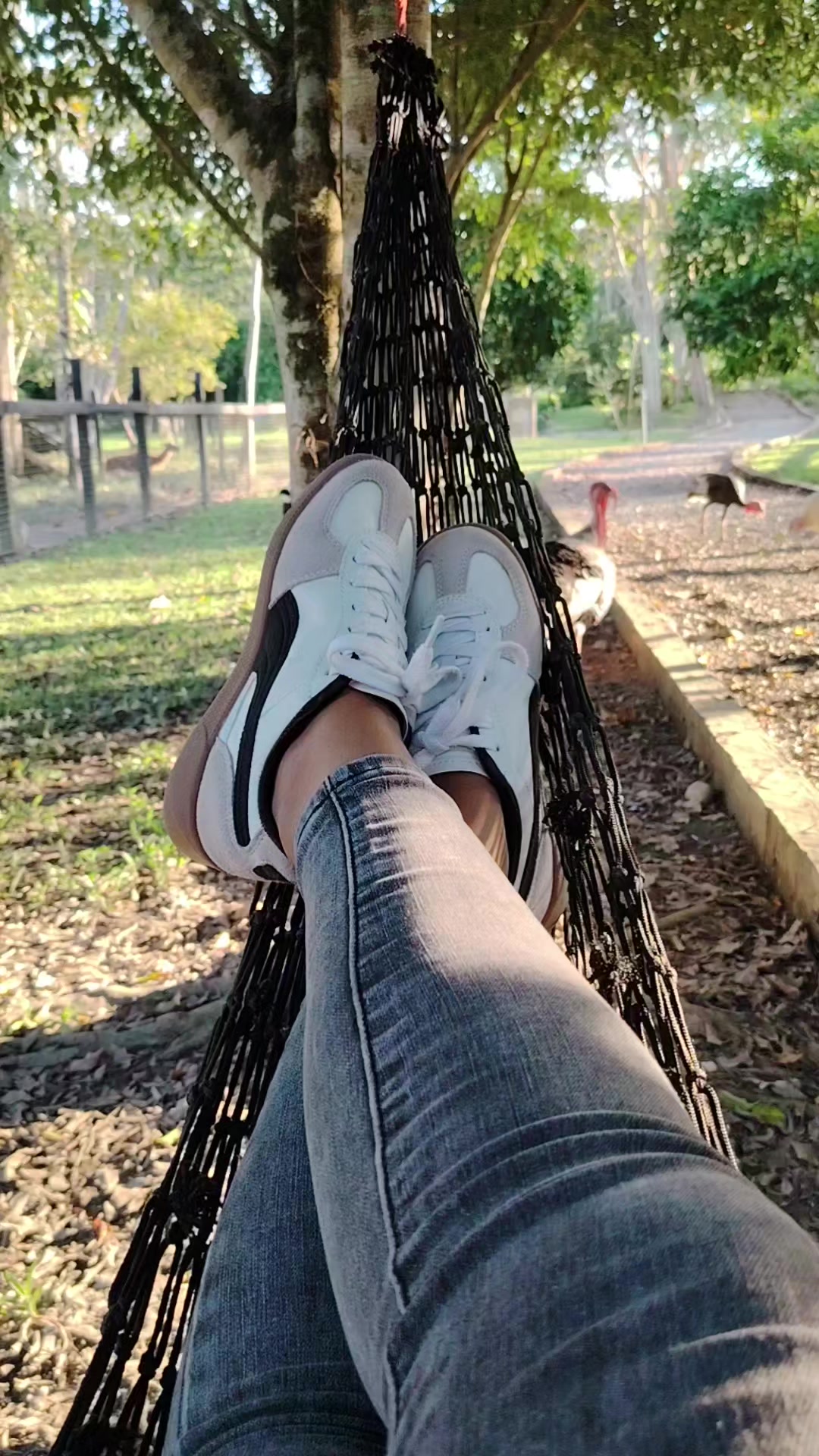 @Viviana Grijalva